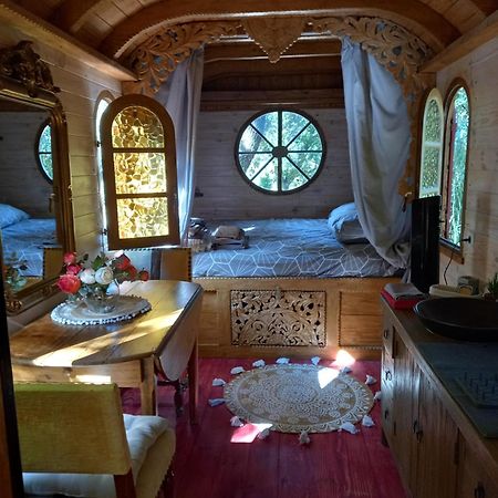 La Roulotte Du Petit Paradis Saint-Remy-de-Provence Ngoại thất bức ảnh