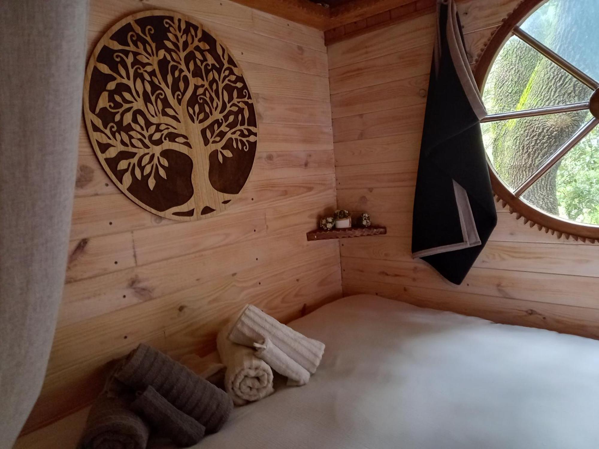 La Roulotte Du Petit Paradis Saint-Remy-de-Provence Ngoại thất bức ảnh