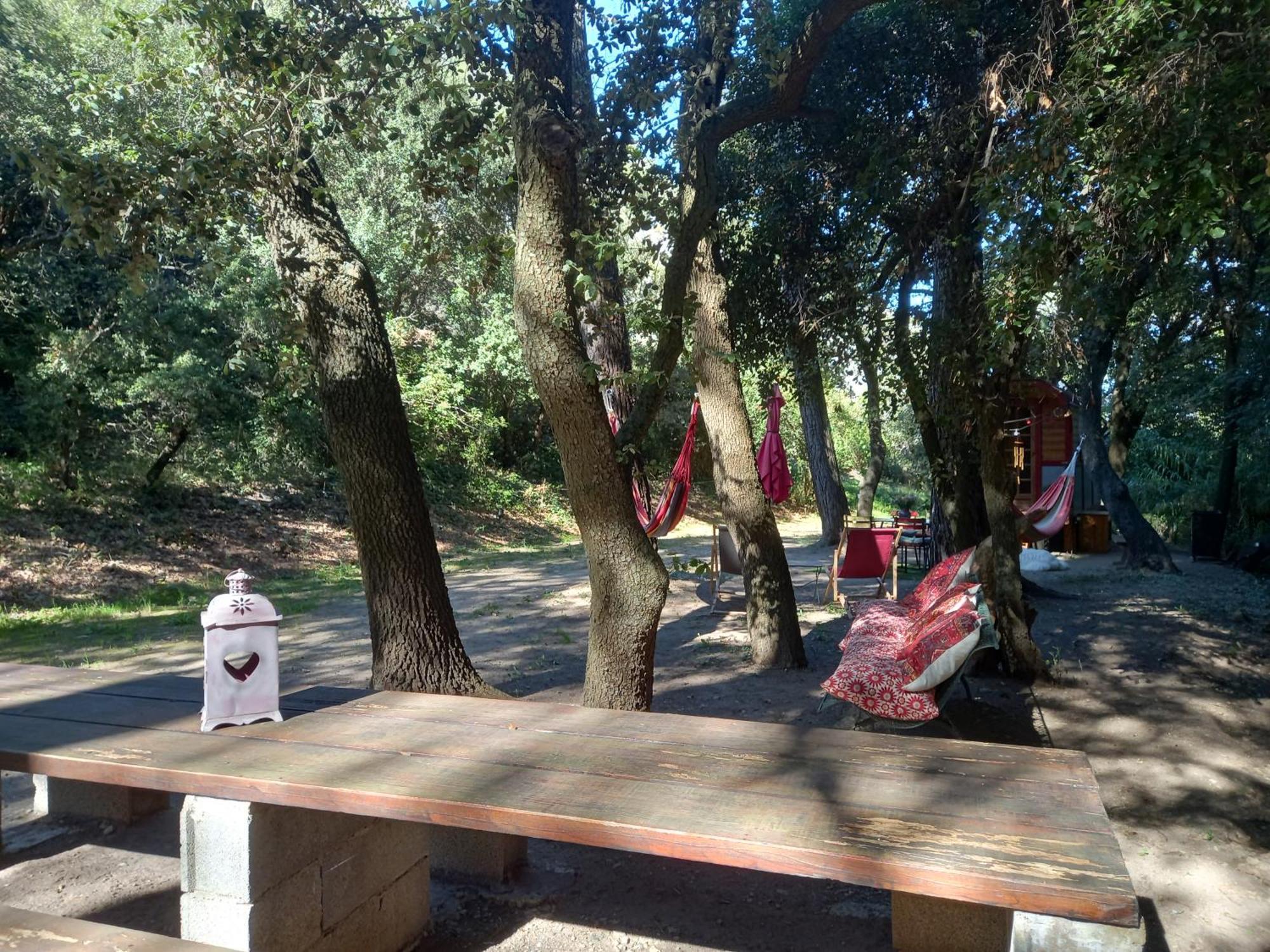 La Roulotte Du Petit Paradis Saint-Remy-de-Provence Ngoại thất bức ảnh