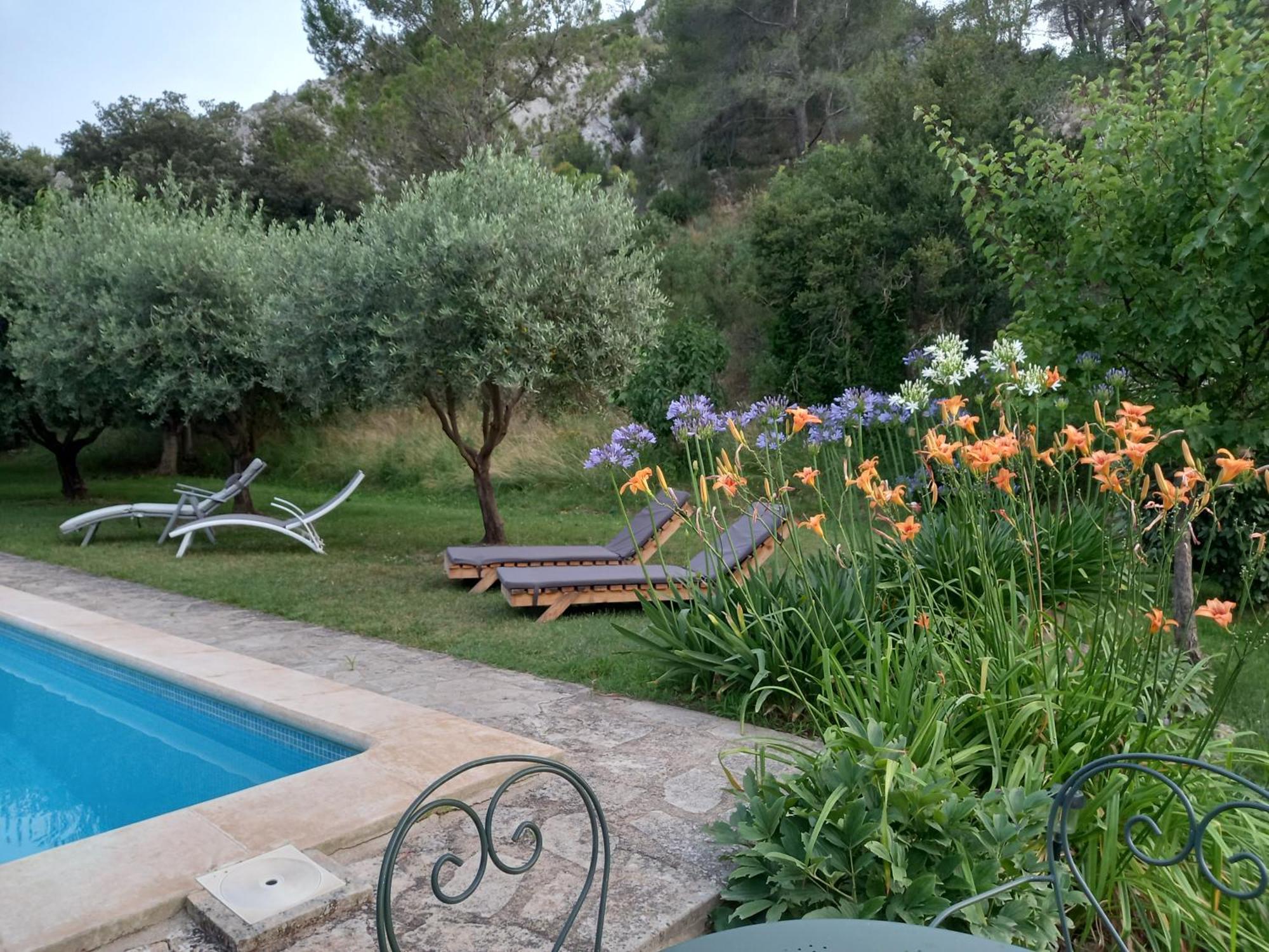 La Roulotte Du Petit Paradis Saint-Remy-de-Provence Ngoại thất bức ảnh