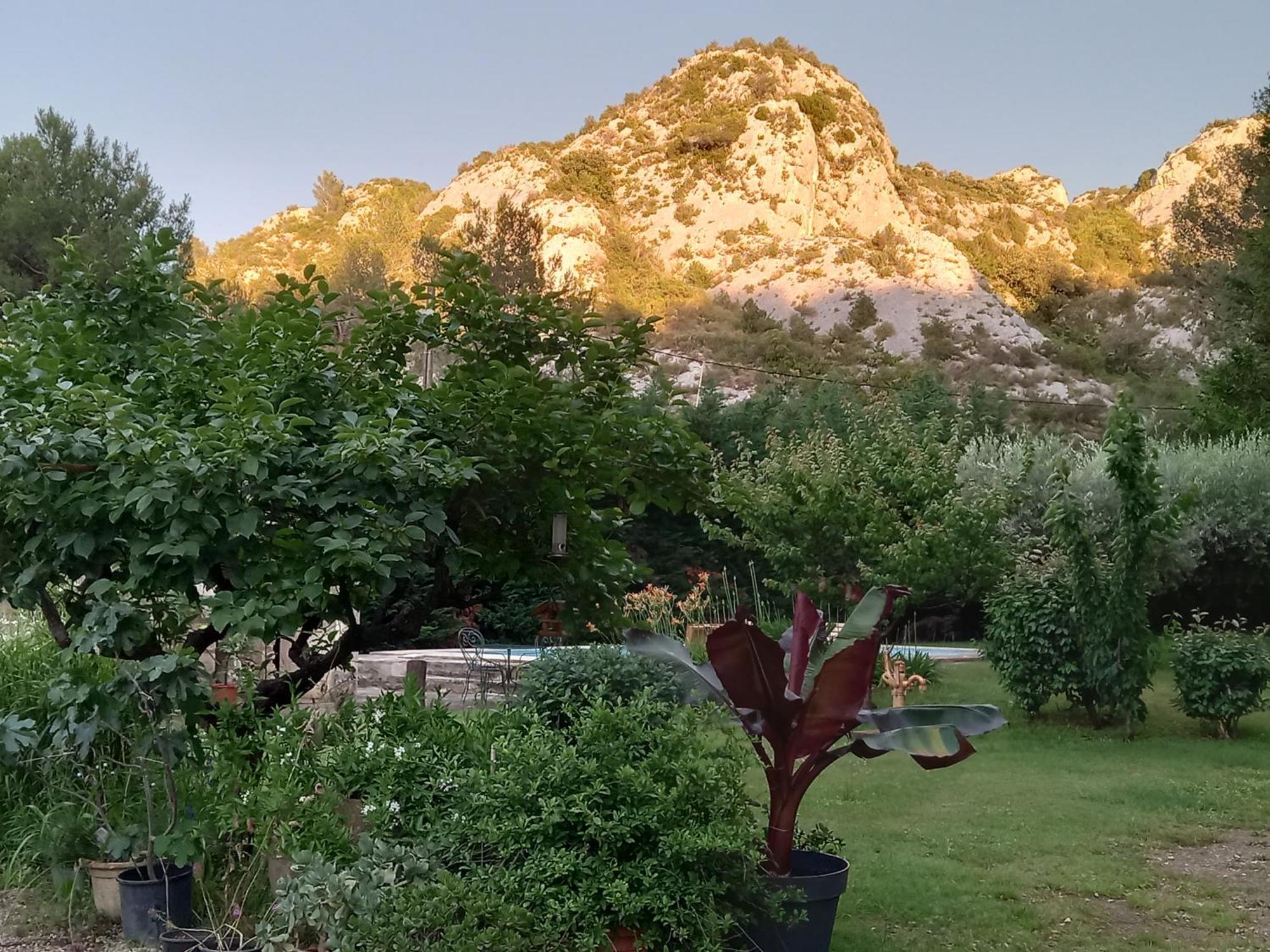 La Roulotte Du Petit Paradis Saint-Remy-de-Provence Ngoại thất bức ảnh
