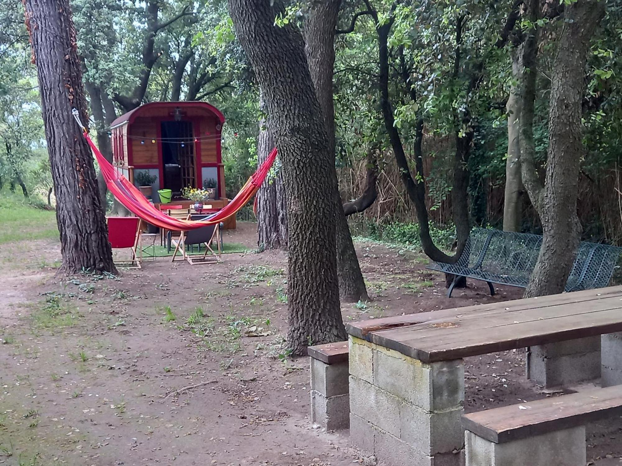 La Roulotte Du Petit Paradis Saint-Remy-de-Provence Ngoại thất bức ảnh