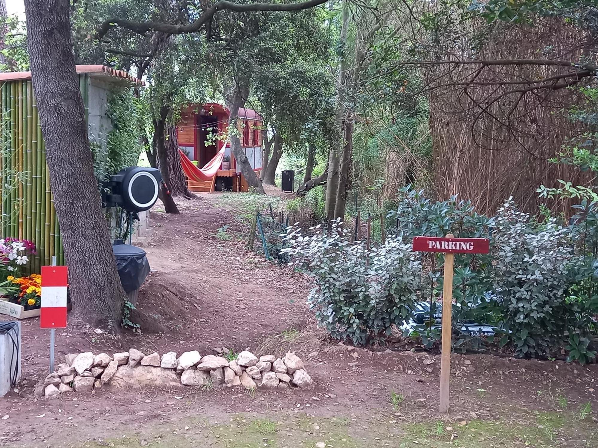 La Roulotte Du Petit Paradis Saint-Remy-de-Provence Ngoại thất bức ảnh
