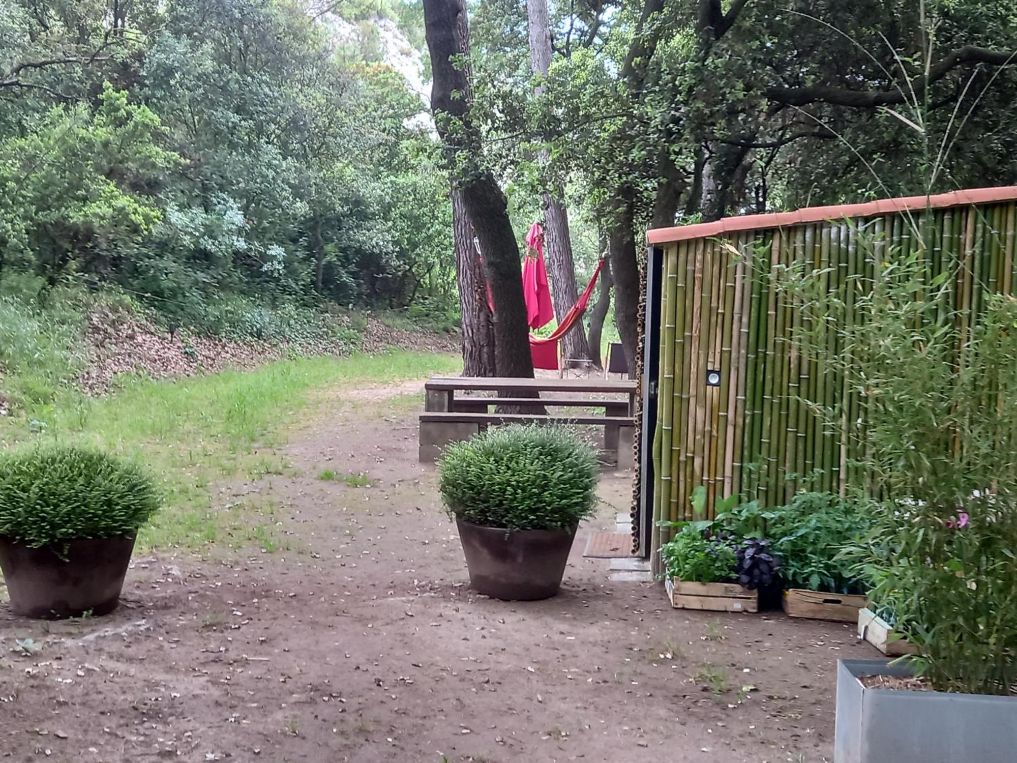 La Roulotte Du Petit Paradis Saint-Remy-de-Provence Ngoại thất bức ảnh