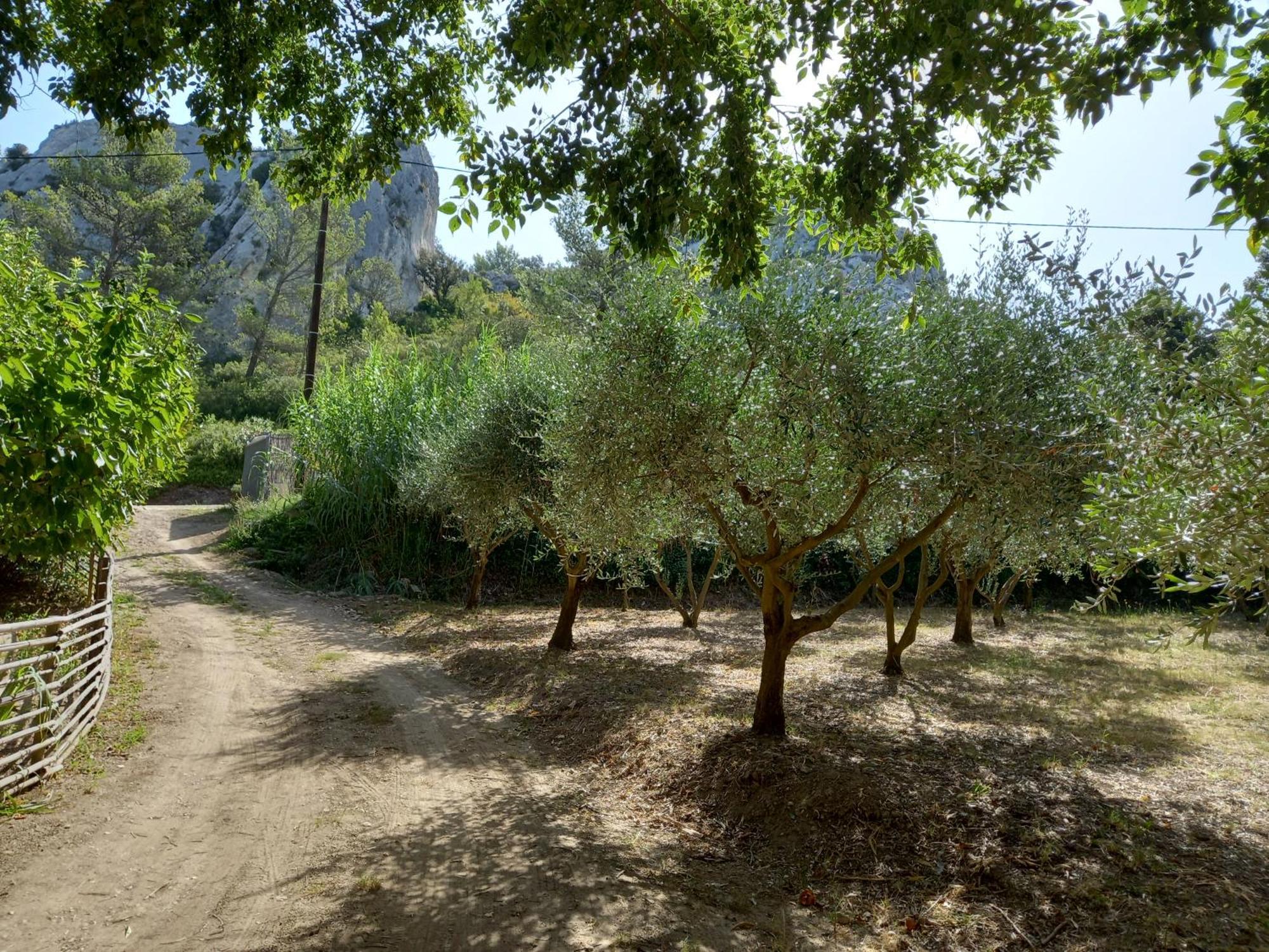 La Roulotte Du Petit Paradis Saint-Remy-de-Provence Ngoại thất bức ảnh