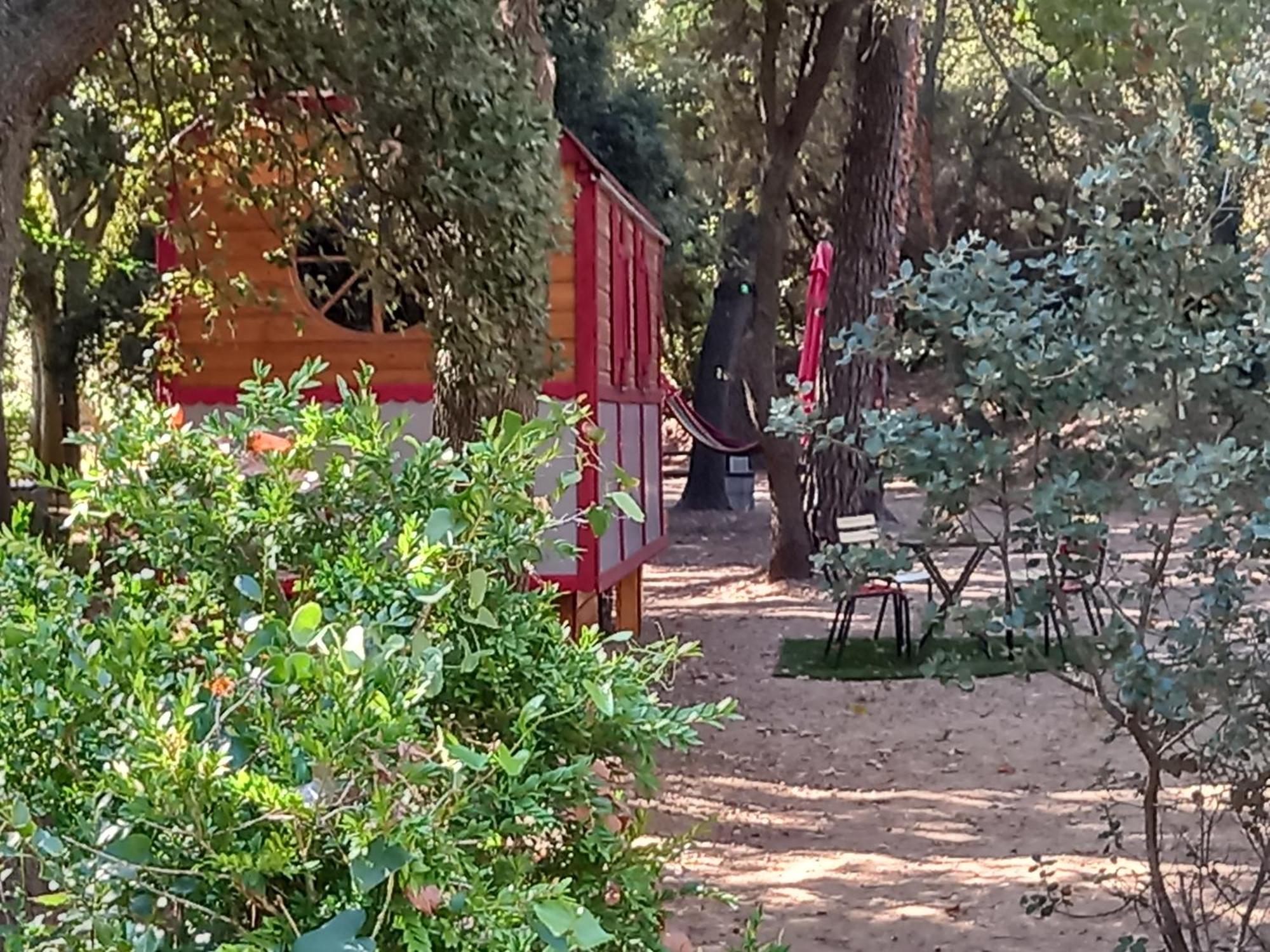 La Roulotte Du Petit Paradis Saint-Remy-de-Provence Ngoại thất bức ảnh