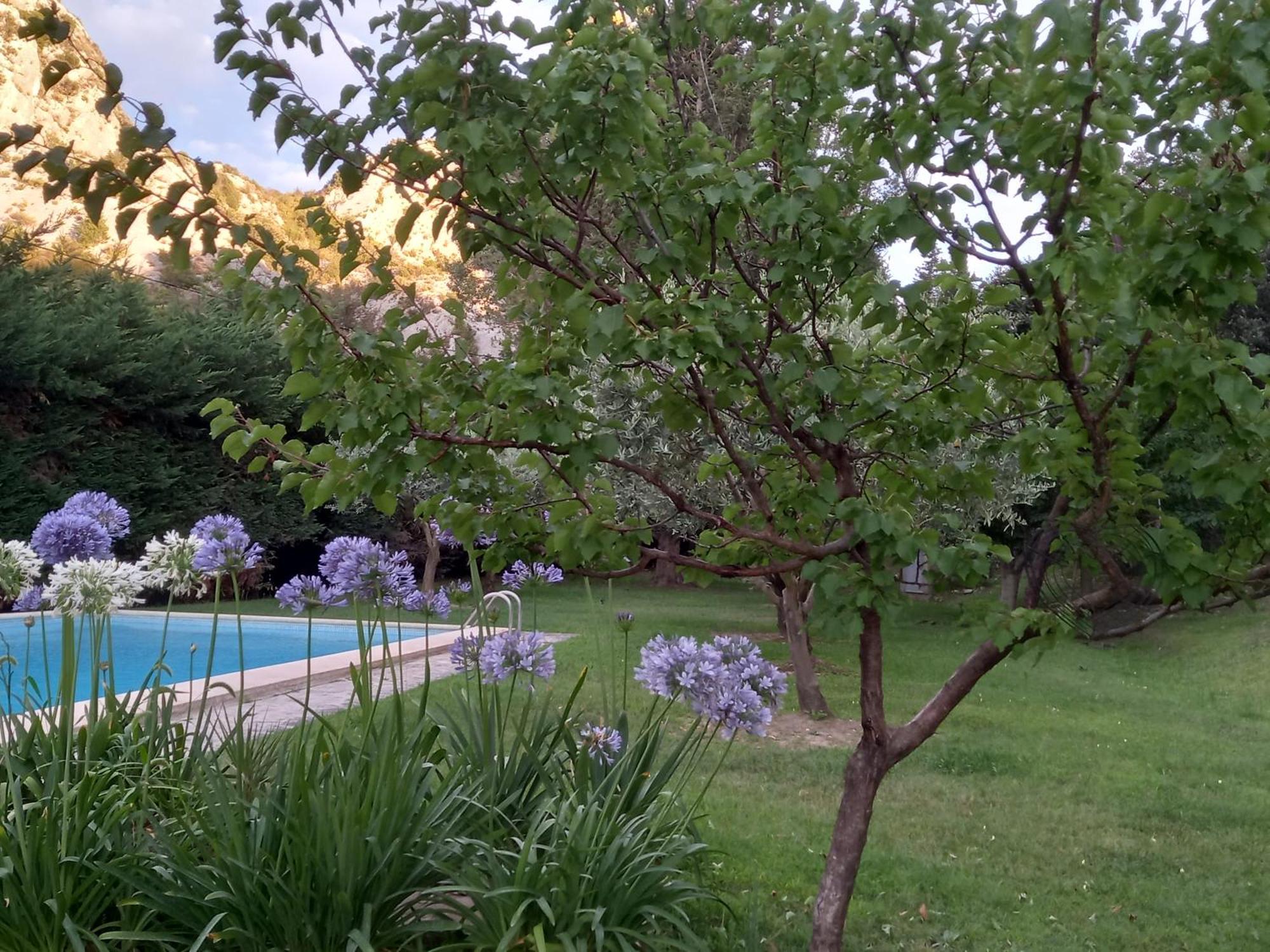 La Roulotte Du Petit Paradis Saint-Remy-de-Provence Ngoại thất bức ảnh
